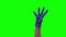 Doctors female hand in blue glove is counting to five. Green screen. Close up