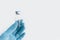 Doctors hand in blue rubber glove holding medicine bottle with blue cover and clear fluid on grey background. Coronavirus vaccine