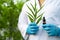 Doctors scientist holding bottle of herb oil plant product, droplet dosing, biology and ecology alternative nature medicine