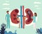 Doctors studying kidneys of donor at clinic. Medical persons checking human organ for surgery flat vector illustration