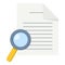 Document & Magnifying Glass Flat Icon