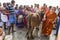 Documentary editorial. RAMESWARAM, RAMESHWARAM, TAMIL NADU, INDIA - March circa, 2018. Unidentified people and sacred cows in the