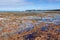 Dodds Creek Beach - Flinders