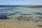 Dodds Creek Beach - Flinders