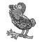 Dodo bird and binoculars sketch engraving vector