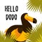 Dodo bird vector