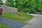 Doe deer walking through a residential neighborhood