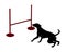 Dog agility