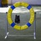 Dog agility in action. The dog is crossing the wheel obstacle.