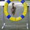 Dog agility in action. The dog is crossing the wheel obstacle.