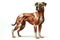 dog anatomy showing body and head, face with muscular system visible isolated on solid white background. ai generative