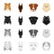 Dog, animal, home and other web icon in cartoon style.Doberman, boxer, pomeranian icons in set collection.