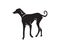 Dog animals logo pets shop template icons app