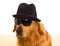 Dog as mafia gangster with black hat and sunglasses