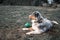 Dog austarlian shepherd lying on gras playing with ball 2