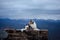 Dog Australian shepherd lies on the stones. Pet at the ruins in nature. Journey, mountains