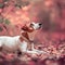 Dog at autumn. Jack russell