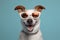 dog  background funny portrait sunglasses pet smile happy animal cute. Generative AI.