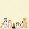 Dog background vector with cute pets illustration