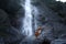 Dog on the background of a waterfall. Nova Scotia Duck Tolling Retriever in nature.