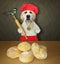 Dog baker cooking bread 2