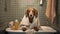 A dog in a bathrobe takes pride in maintaining cleanliness