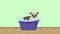 dog in bathtub bath time animation