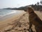 `Dog in the beach`