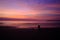 Dog at the beach for its daily walk at sunset time, blue hour. Boats at the horizon. Amazing vivid blue and purple colors, no