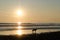 Dog at beach near Westport Lighthouse State park with sunset in the background