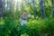 Dog Beagle on a meadow with blossoming wild strawberry