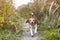 Dog Beagle running and jumping through yellow grass in a forest