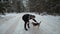 Dog beagle runs through the snow. Cute young hipster couple having fun in winter park with their dog on a bright day and