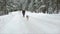 Dog beagle runs through the snow. Cute young hipster couple having fun in winter park with their dog on a bright day and
