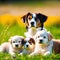 Dog and beautiful puppies lie on the meadow