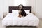 Dog on bed in room. Pet friendly hotel