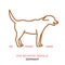 Dog behavior icon