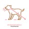 Dog Behavior Icon