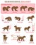 Dog Behavior Icons