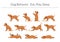 Dog Behavior Set, Eat, Play, Sleep Concept