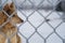 Dog behind a Frosted fence