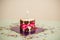 Dog birthday cake with bone cookies, ribbon , candle