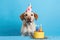 dog with a birthday cap on his head and birthday cake on a blue background. Copy space, Ai generative