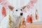 Dog birthday party. Cute dog celebrating first birthday on background of pink garland and decoration