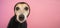 Dog in black hoodie looking sad at the camera on pink background
