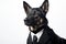 Dog In A Black Mens Business Suit On A White Background. Generative AI