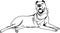 Dog black white vector outline