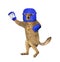 Dog in blue boxing uniform