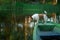 dog in the boat. Active wet Jack Russell Terrier in nature