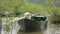 dog in the boat. Labrador Retriever in nature